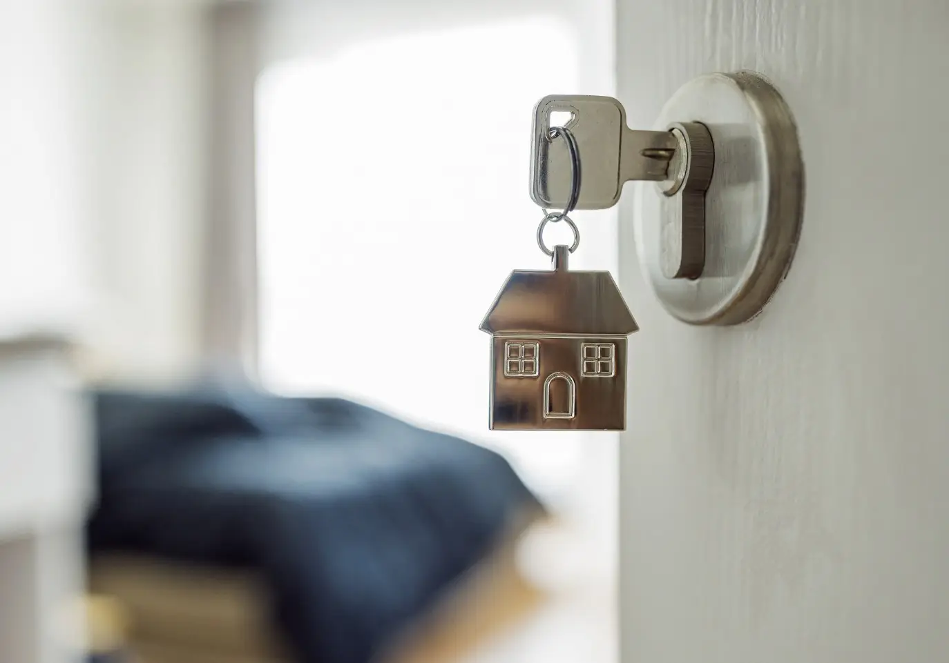 decreto ley 1 Marzo 2019